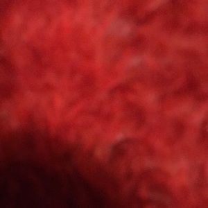 Meet your Posher, Miguel